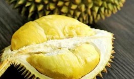 唧唧瓜娃吃榴莲,唧唧瓜娃的榴莲奇遇记