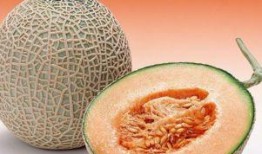 放疗期间能否吃哈密瓜,放疗期间哈密瓜食用探讨