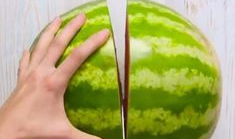 松瓜用去籽吗怎么吃,松瓜去籽技巧与美味食用方法解析