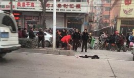 定州市吃瓜,品味夏日甜蜜时光