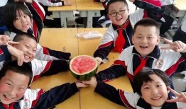 渝北中学吃瓜,揭秘校园里的“瓜田”风云”