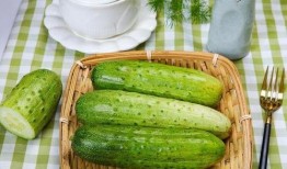 九一今日吃瓜,吃瓜群众围观娱乐圈风云变幻