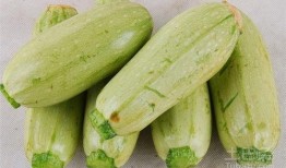 如何快速吃瓜的,教你如何快速吃瓜不迷路