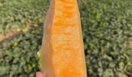 云蓝吃瓜,揭秘娱乐圈幕后故事