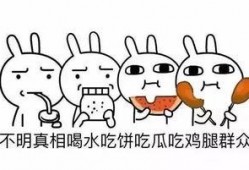 猪猪女孩吃瓜,猪猪女孩的甜蜜瓜果时光