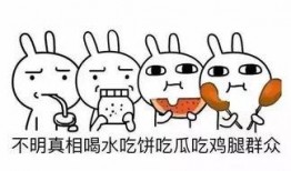 猪猪女孩吃瓜,猪猪女孩的甜蜜瓜果时光