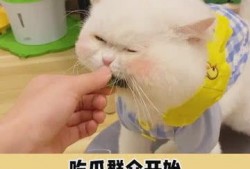 开始按头了吃瓜