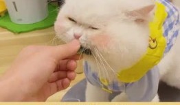 开始按头了吃瓜