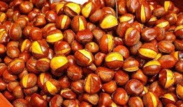 主播吃新疆板栗瓜,美味诱惑尽在眼前