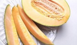 咳嗽可以吃哈密瓜吗,缓解咳嗽的天然良药？