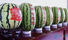 在单位被吃瓜,背后真相与反思