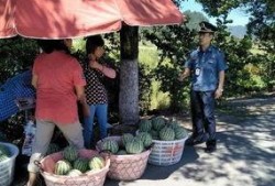 旧金山吃瓜群众,吃瓜群众的美食盛宴