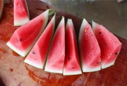 长沙吃瓜群众俱乐部,揭秘城市生活趣味圈