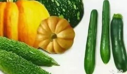 英区ppt吃瓜,揭秘幕后故事与趣味瞬间