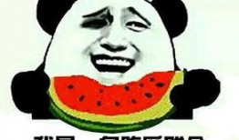 吃瓜群众名字出来了,名字背后的故事与传奇