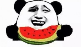 吃瓜怎么免费看,揭秘免费看吃瓜直播的独家秘籍