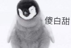 理性吃瓜胖猫,胖猫带你轻松解读娱乐圈风云