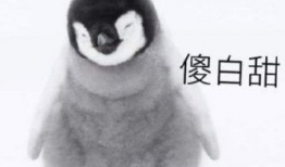 理性吃瓜胖猫,胖猫带你轻松解读娱乐圈风云