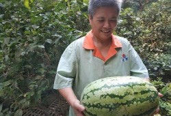 吃瓜物业,揭秘社区生活那些事儿