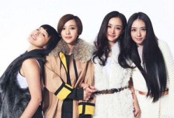 吃瓜少女Shirley,揭秘娱乐圈幕后故事