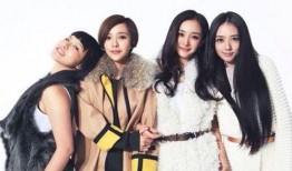 吃瓜少女Shirley,揭秘娱乐圈幕后故事