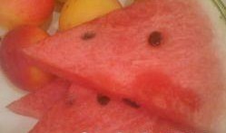 锡盟维多利吃瓜