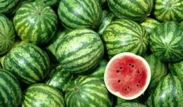 老外吃羊角瓜视频大全,老外挑战全球特色羊角瓜视频大盘点