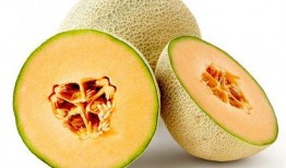 吃蜜瓜后咳嗽,揭秘甜蜜背后的健康隐患