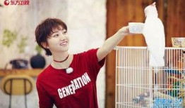 吃瓜偶像,揭秘吃瓜偶像背后的故事