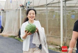 陈明吃瓜,揭秘娱乐圈幕后故事