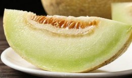 吃蜜瓜后咳嗽,揭秘甜蜜背后的健康隐患