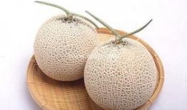 月经期间可以吃哈密瓜吗,月经期间适宜食用哈密瓜吗？