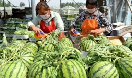 视频如何营造吃瓜群体,如何打造火爆的“吃瓜群众”现象