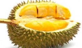 弟弟榴莲女孩吃瓜,揭秘甜蜜背后的故事