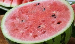 怎么吃麒麟瓜好吃呢,麒麟瓜美味食法大揭秘