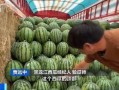 雾岛吃瓜,揭秘雾岛吃瓜背后的故事