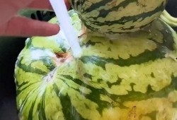 吃瓜视频作品,带你领略网络娱乐的狂欢盛宴