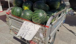 庄河光明小区吃瓜,吃瓜群众见证邻里和谐生活