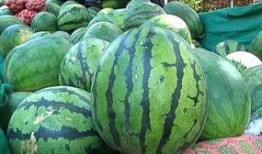 视频如何营造吃瓜群体,如何打造火爆的“吃瓜群众”现象