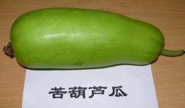 葫芦瓜吃皮还是吃瓤好,皮与瓤，谁更美味？