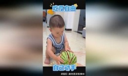 吃瓜网站喷水娃,吃瓜网站上的“水军”传奇