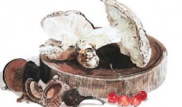 水彩吃瓜,吃瓜瞬间定格美好时光