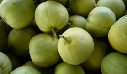 吃瓜不知种瓜甜