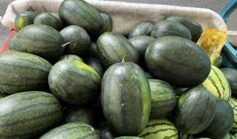 吃朋友的瓜,那些被吃掉的瓜，背后隐藏的秘密