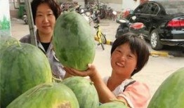 各路大神吃瓜视频,揭秘各大网红吃瓜视频背后的真相与笑料