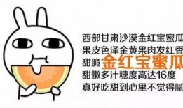 吃瓜没吃明白就乱说,乱言乱语引争议