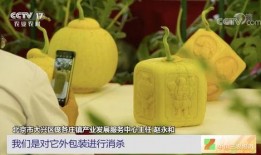 云蓝吃瓜,揭秘娱乐圈幕后故事