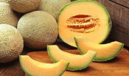 梦到全村人分蜜瓜吃