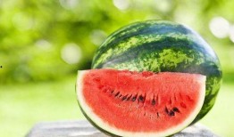 介休吃瓜过程,一场别开生面的夏日盛宴