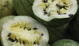 孕妇吃籽瓜,籽瓜助力母婴健康
